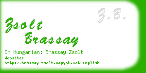 zsolt brassay business card